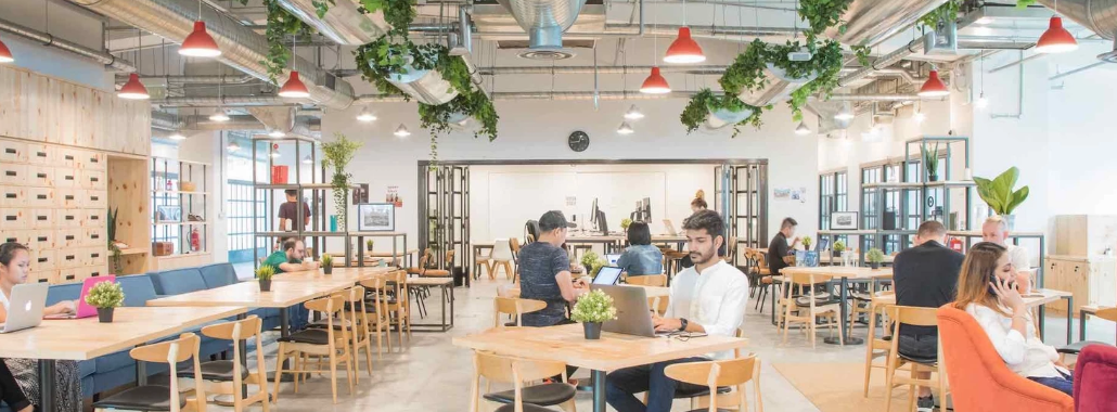 Lively coworking space with natural lighting, shared desks, greenery, and people working and networking.