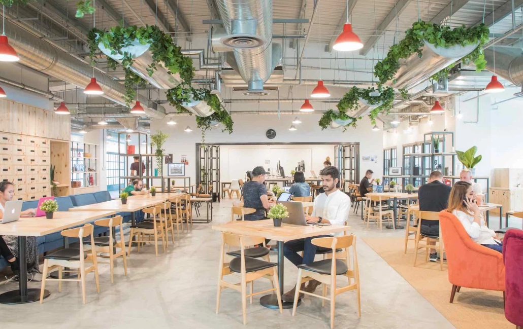 Lively coworking space with natural lighting, shared desks, greenery, and people working and networking.