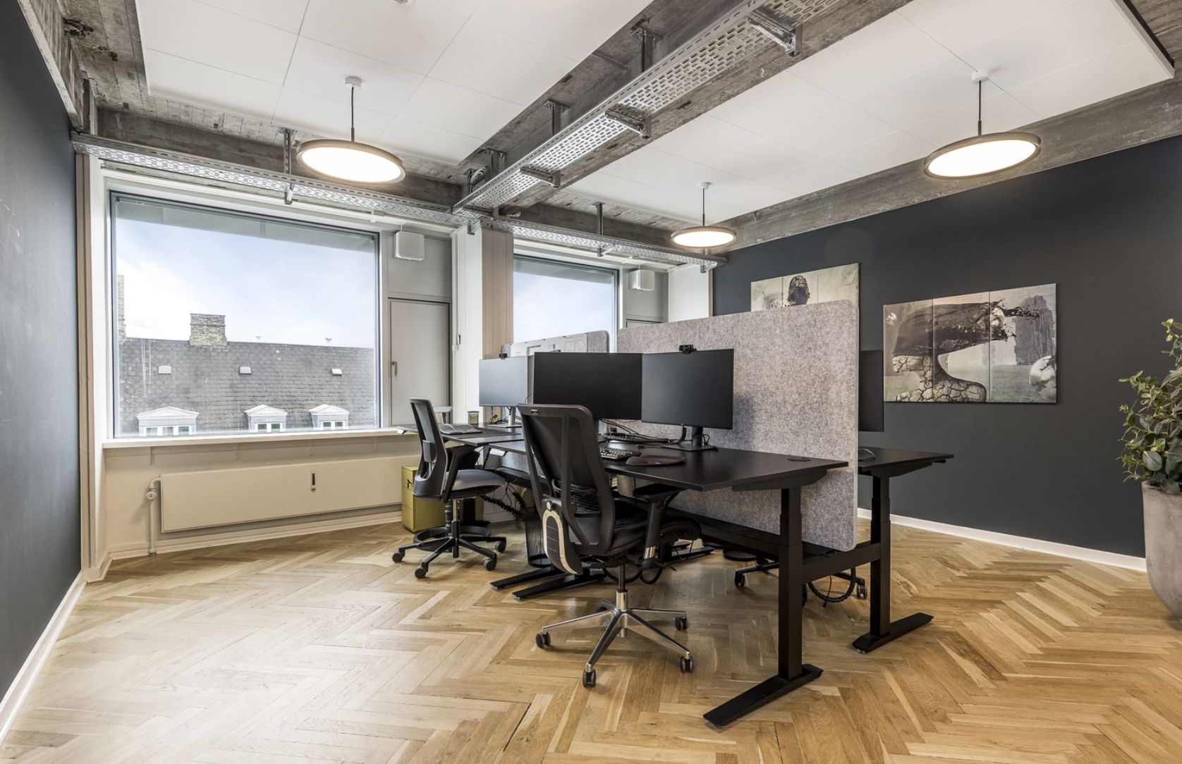 Stylish office with adjustable desks, ergonomic chairs, wood flooring, and natural light from large windows.