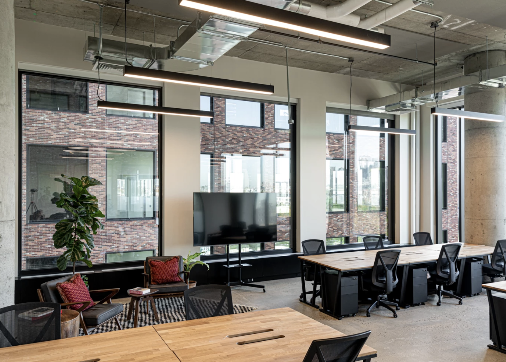 Open-concept office with modern desks, large windows, indoor plants, and a mounted flat-screen display.